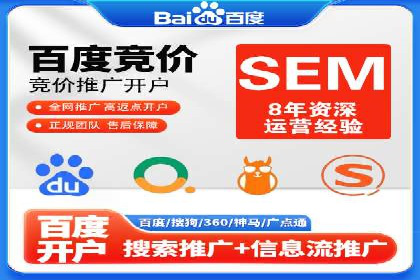 百度竞价排名机制：成功案例与策略探讨